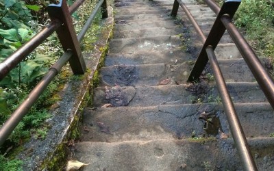 stairs up to adams peak