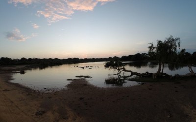 sunset at yala national park