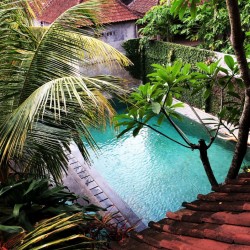 Yogis in Ubud Indonesia