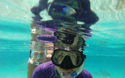 snorkeling komodo boat trip