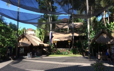 yoga barn ground platform