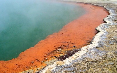 geothermal hotspring rotorua