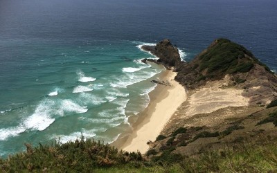 cape reinga beach north island