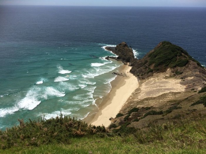 Camper van your way through northern New Zealand