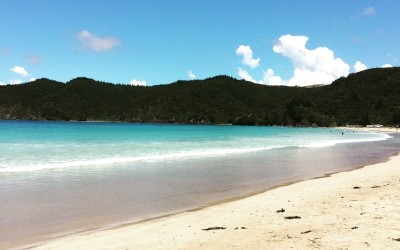 matauri bay camping