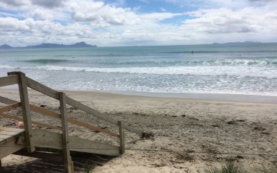 waipu cove surf