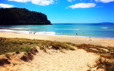 Whangamata beach coramandel