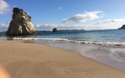 cathedral cove beach 2 ocean