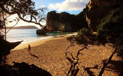 cathedral cove beach coramandel