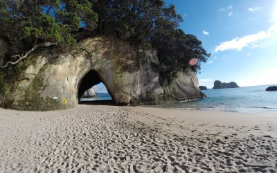 cathedral cove opening